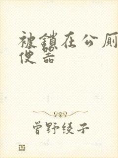 被锁在公厕当坐便器