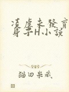 凌虐未发育的小身子H小说