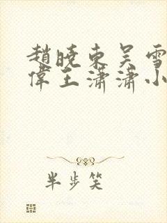 赵晓东吴雪晴郑伟王潇潇小说名字