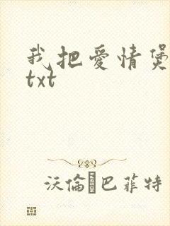 我把爱情煲成汤txt