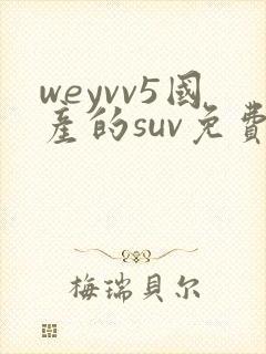 weyvv5国产的suv免费