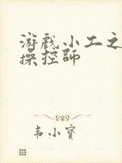 游戏小工之元素操控师