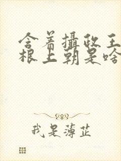 含着摄政王的紫根上朝是啥小说