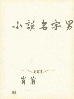 小说名字男生