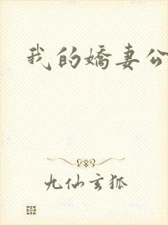 我的娇妻公务员