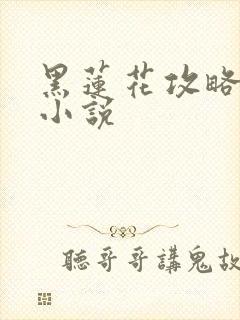 黑莲花攻略手册小说