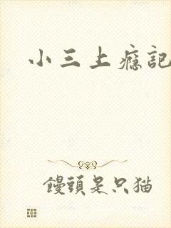 小三上瘾记