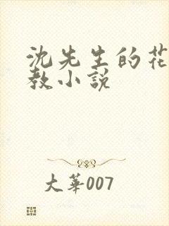 沈先生的花式管教小说