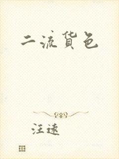 二流货色