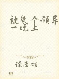 被几个领导玩弄一晚上