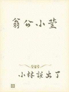 翁公小莹