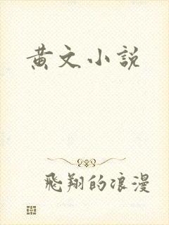 黄文小说