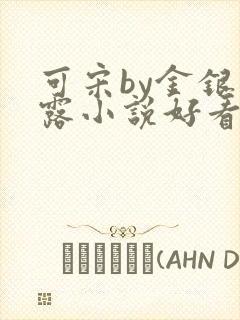 可宋by金银花露小说好看吗