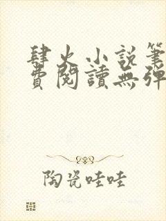 肆火小说笔趣免费阅读无弹窗