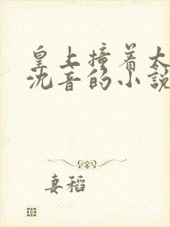 皇上撞着太子妃沈音的小说叫什么