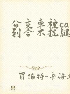 公交车被cao到合不拢腿视频