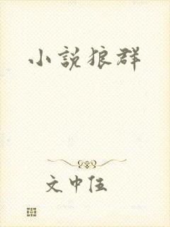 小说狼群