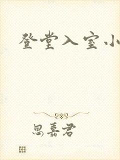 登堂入室小说