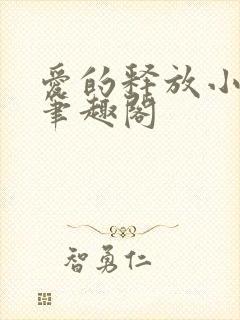 爱的释放小说 笔趣阁