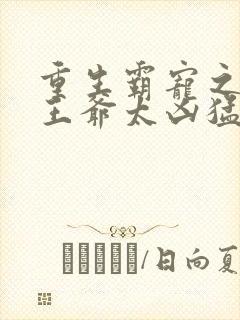 重生霸宠之摄政王爷太凶猛