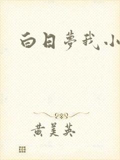 白日梦我小说
