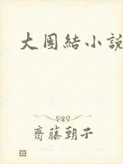 大团结小说全文