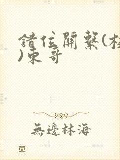 错位关系(校园)东哥