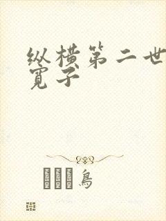 纵横第二世界 宽子