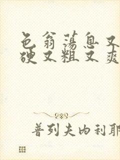 色翁荡息又大又硬又粗又爽