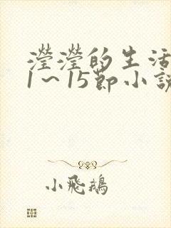滢滢的生活日记1～15节小说