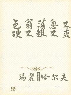 色翁荡息又大又硬又粗又爽小莹