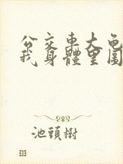 公交车大龟廷进我身体里图