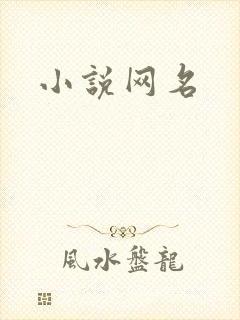 小说网名