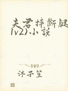 夫君摔断腿后(1v2)小说