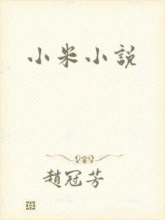 小米小说