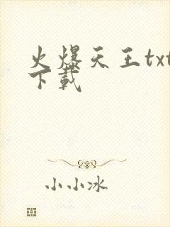 火爆天王txt下载