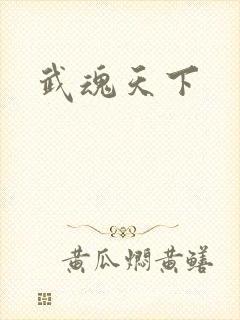武魂天下