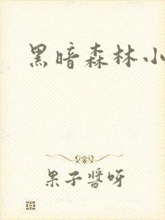 黑暗森林小说