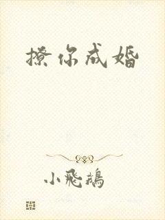 撩你成婚