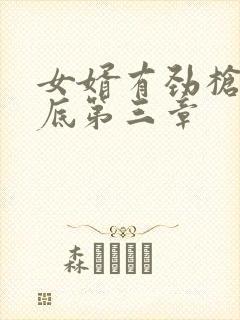 女婿有劲枪枪到底第三章