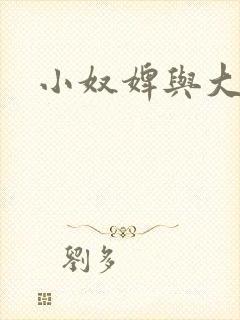 小奴婢与大少爷