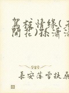 驾校情缘(老树开花)孙潇潇笔趣阁