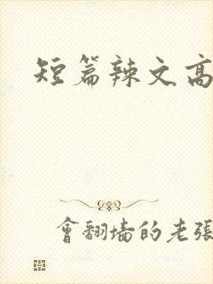 短篇辣文高h
