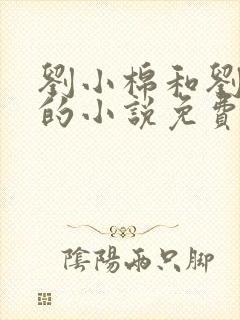 刘小棉和刘易文的小说免费阅读