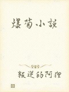 爆菊小说