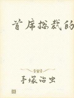 首席总裁的逃妻