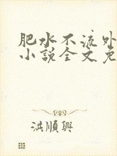 肥水不流外人田小说全文免费阅读1