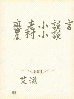 恋老小说言情网农村小说