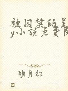 被囚禁的美人by小说免费阅读