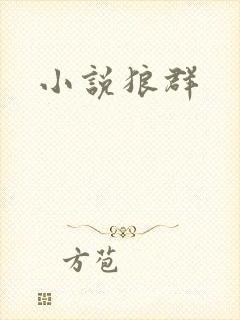 小说狼群
